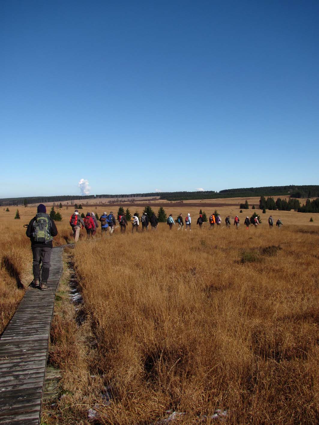 Fagnes