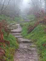Sentier du Donon