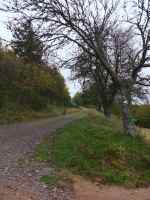 Descente vers Belmont