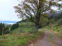 Descente vers Belmont