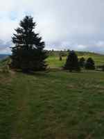 Montée du col de la Perheux