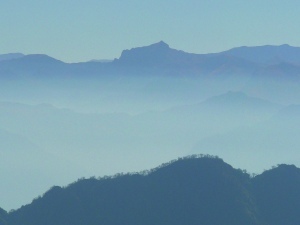 Paysage de Yungas
