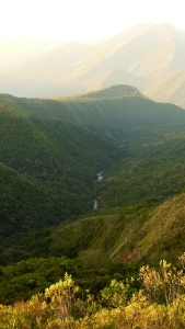 Paysage de Yungas