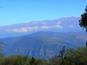 Paysage de Yungas depuis San Fransico