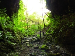 Sur le chemin du Bajo Chorro 