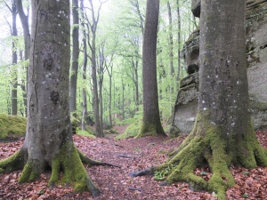Luxembourg