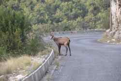 Une belle rencontre