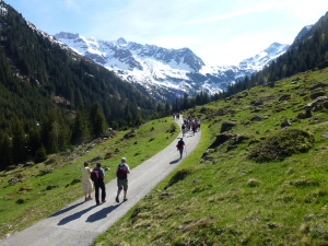 Autour de l'auberge